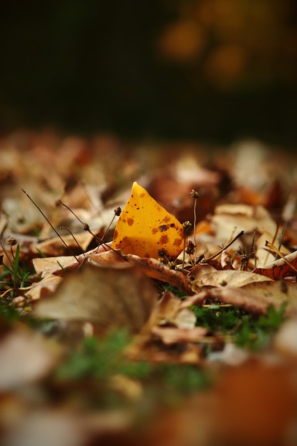 化的需求不 化的需求不