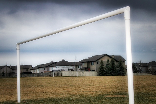 生的团队协 生的团队协