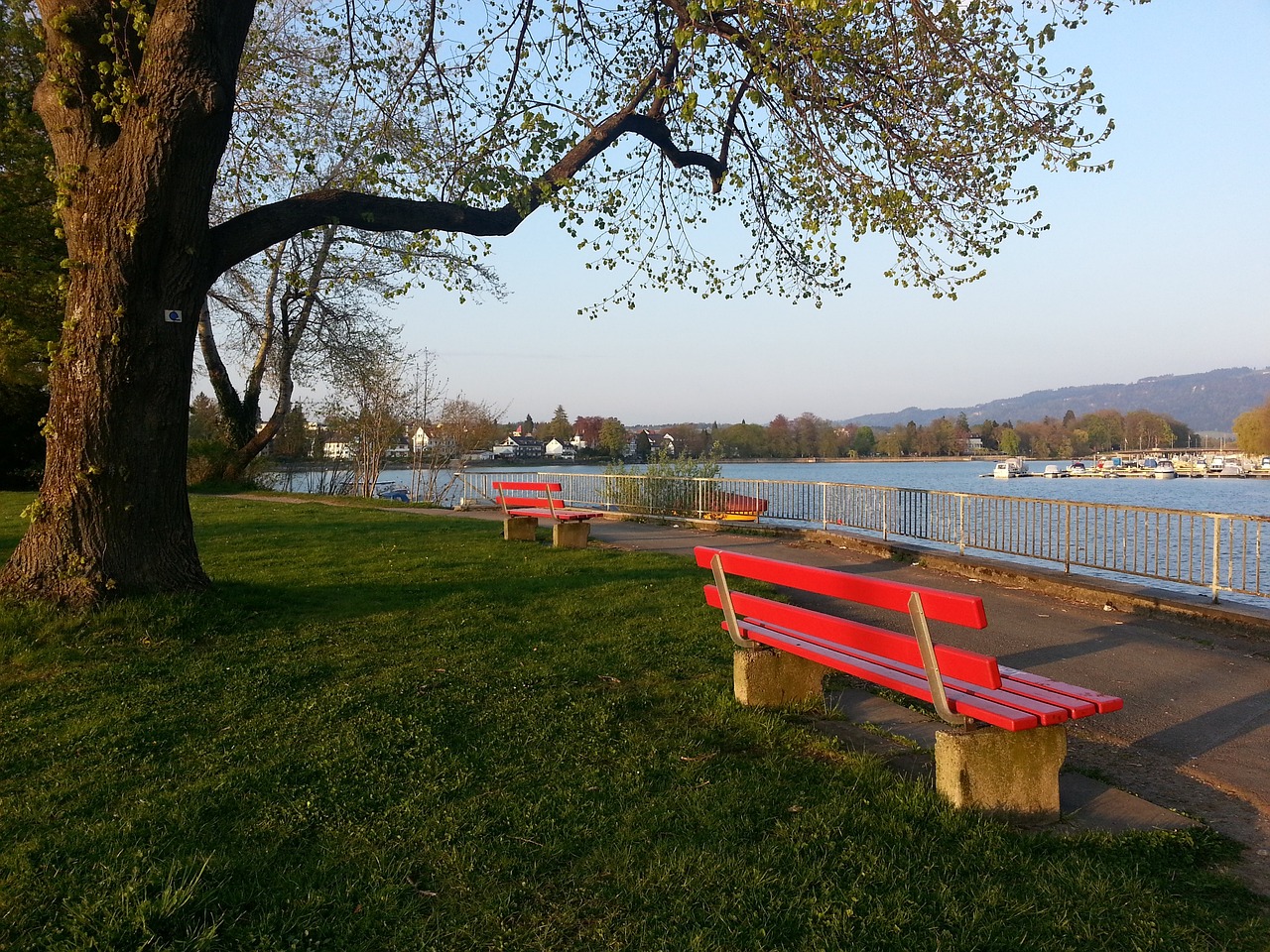 主场负于苏州东吴 广州队遭遇赛季首败.